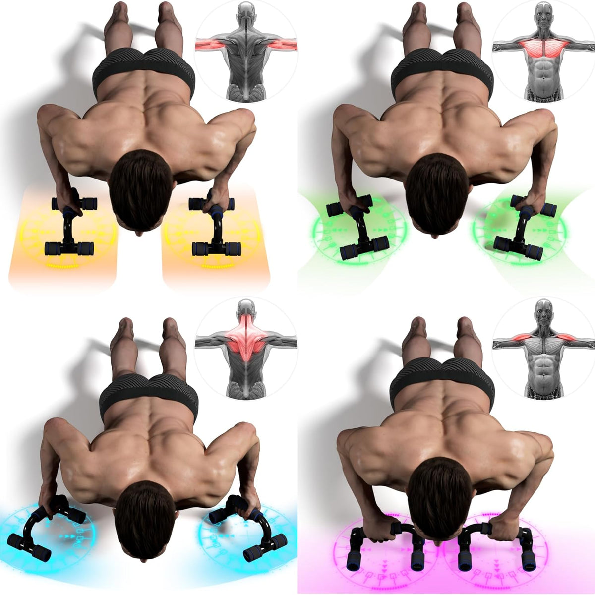Push Up Bars with Foam Grip